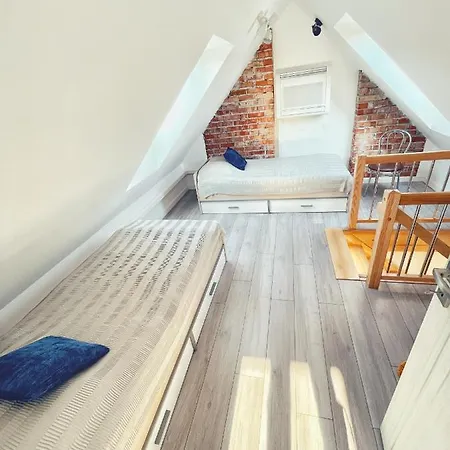 Urban Jungle - Luksusowy W Gdyni. * Gdynia