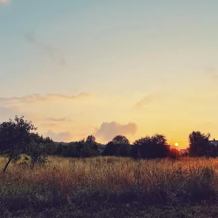 Apartment Urban Jungle - Luksusowy W Gdyni. Gdynia