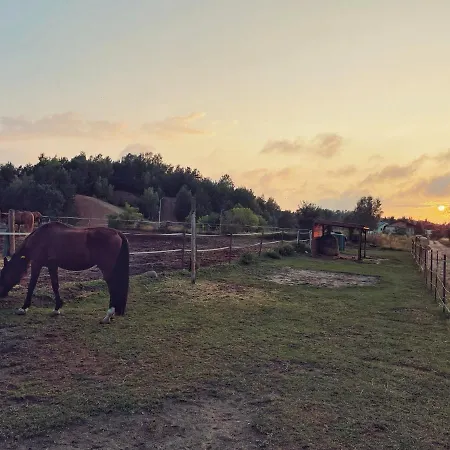 Urban Jungle - Luksusowy W Gdyni. *