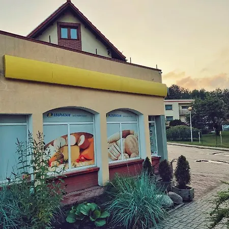 Urban Jungle - Luksusowy W Gdyni.