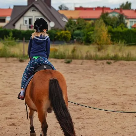 Urban Jungle - Luksusowy W Gdyni. Gdynia
