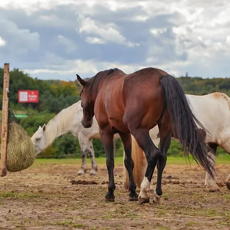 Apartment Urban Jungle - Luksusowy W Gdyni. Gdynia