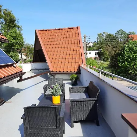 Urban Jungle - Luksusowy W Gdyni.