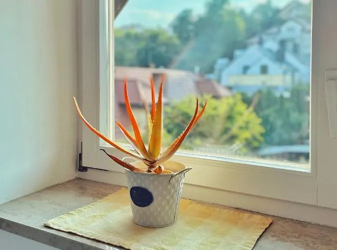 شقة Urban Jungle - Luksusowy W Gdyni.