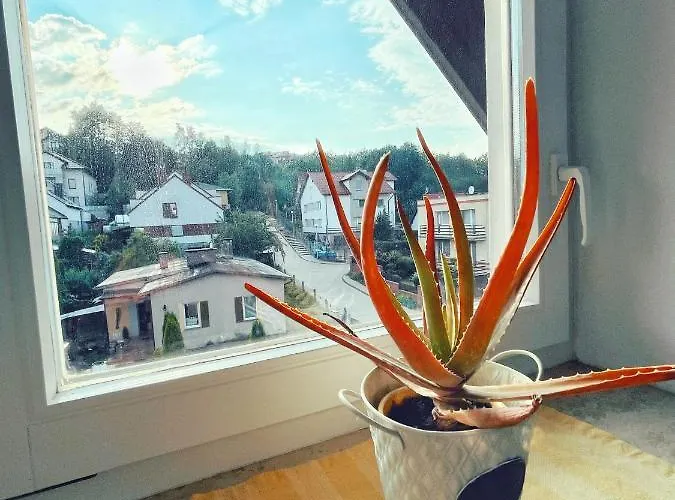 Urban Jungle - Luksusowy W Gdyni. شقة