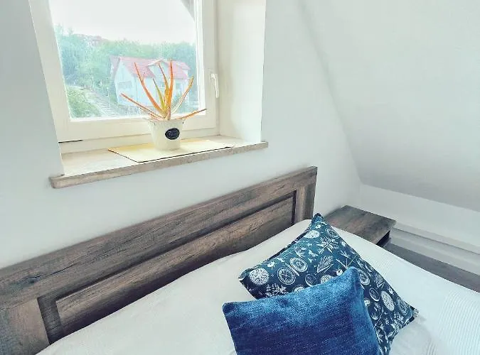 Urban Jungle - Luksusowy W Gdyni. *