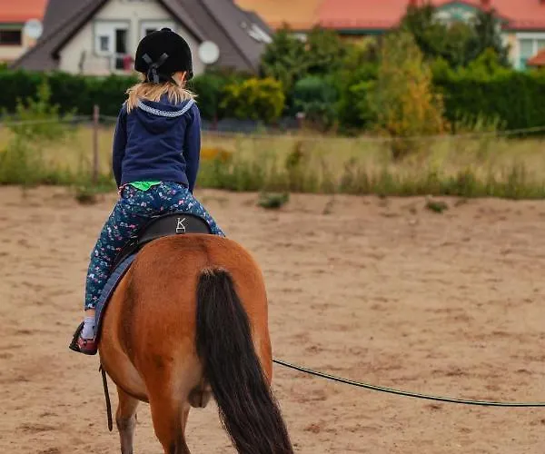 Urban Jungle - Luksusowy W Gdyni. غدينيا