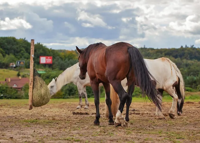 شقة Urban Jungle - Luksusowy W Gdyni. غدينيا